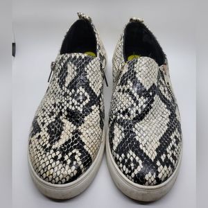 Steve Madden Snake Print Slip-on Sneaker